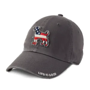 Americana Dog Tattered Chill Cap