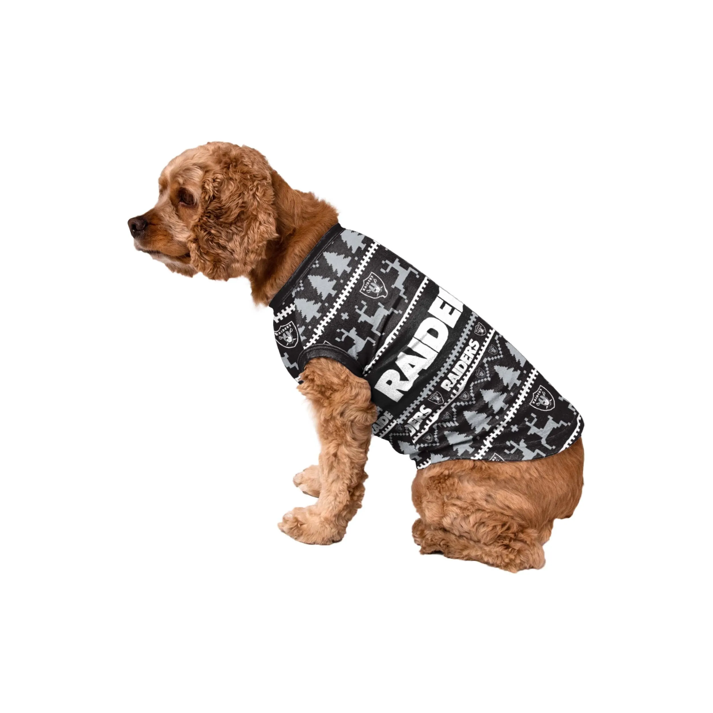 Las Vegas Raiders NFL Family Holiday Pajamas
