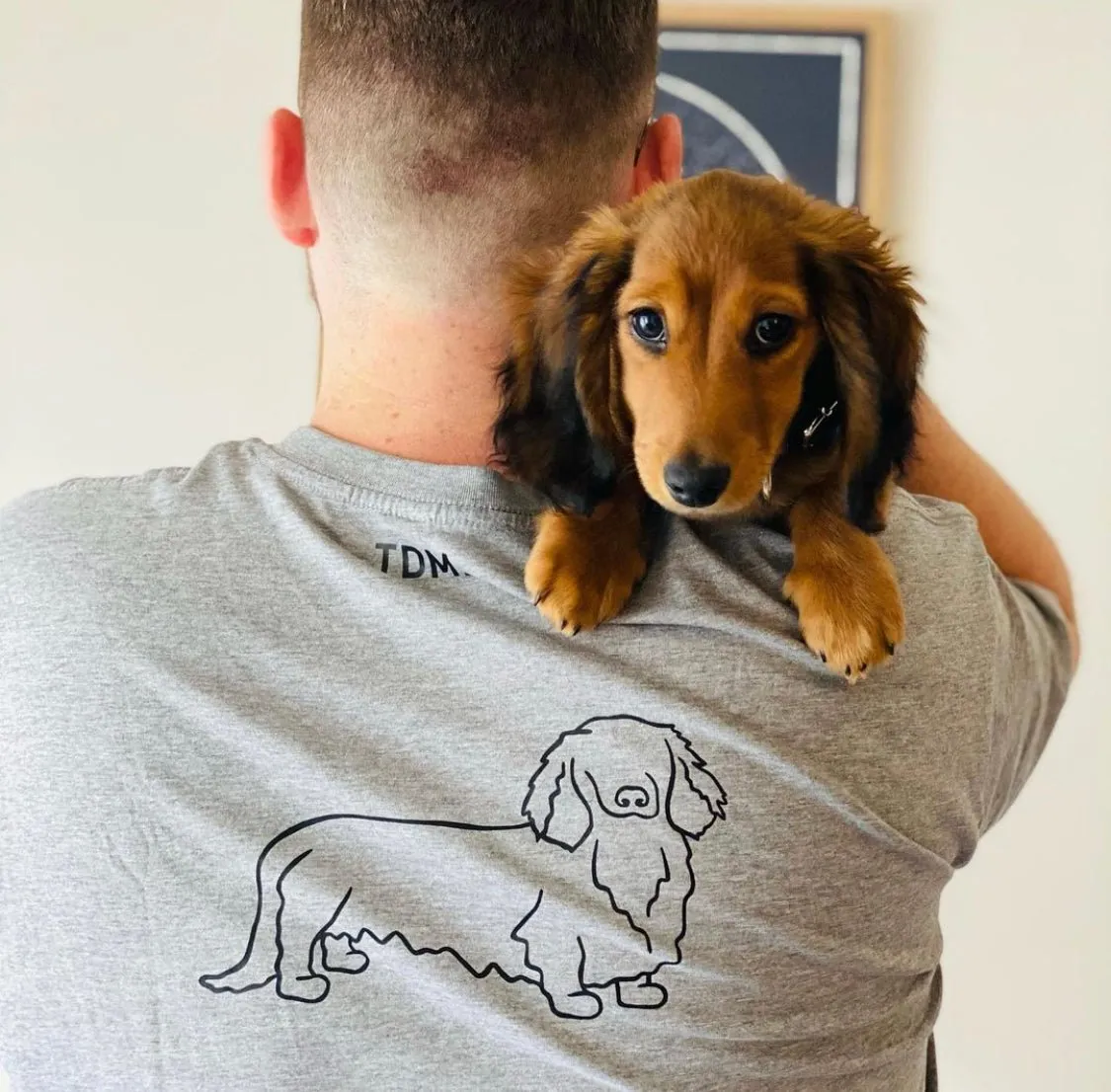 Long Haired Dachshund Dad Illustration: T-Shirt