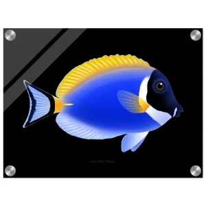 Powder Blue Tang Acrylic Print