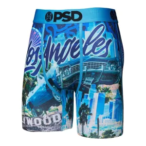 PSD Men's Multicolor Travel Destination Boxer Briefs Large Underwear - 424180087-MUL-L
