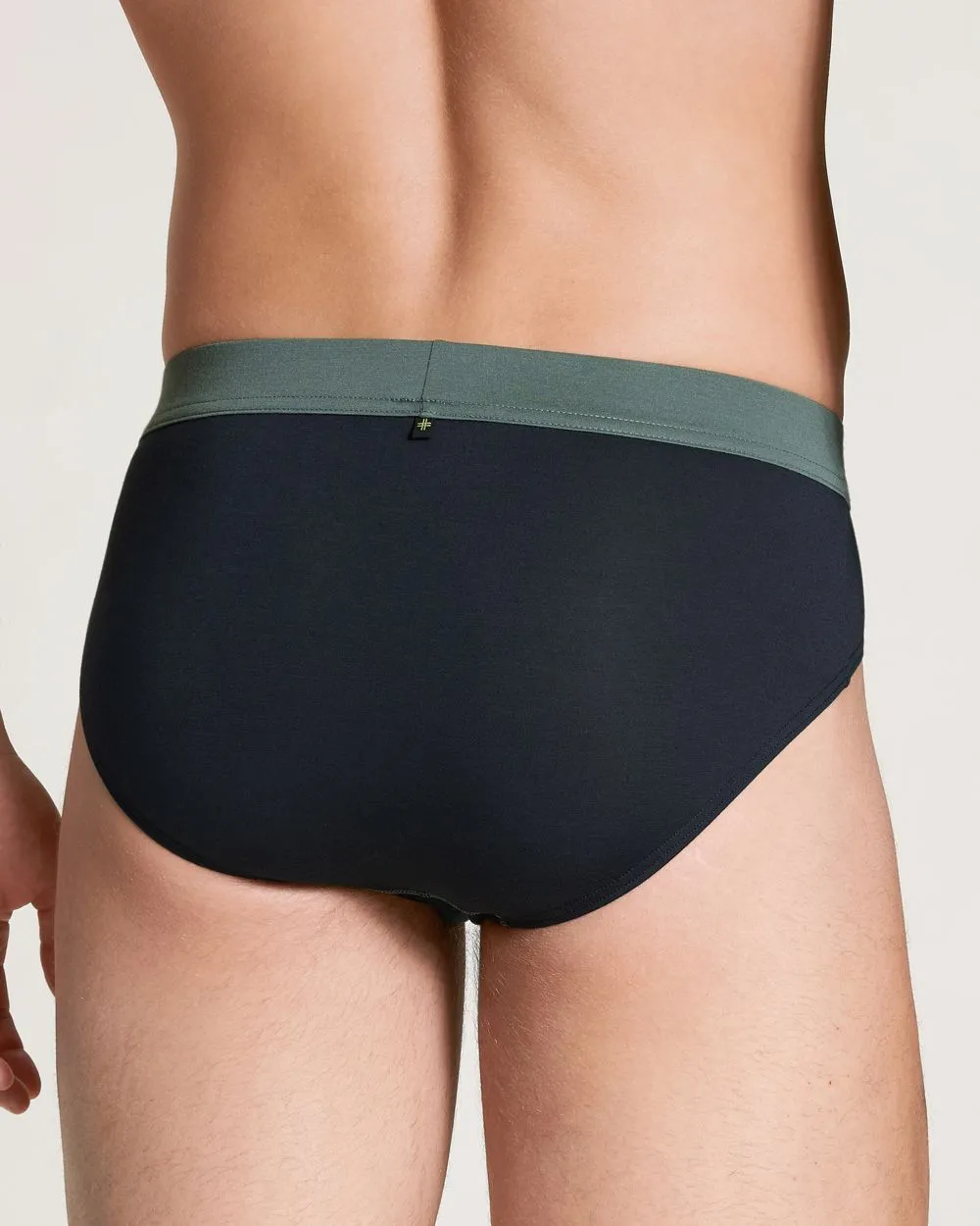 Seaweed Micro Brief
